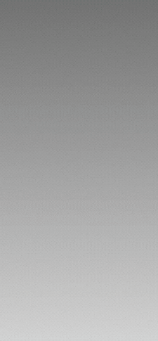 Decorative banner image